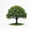 Tree icon symbolizing sustainability